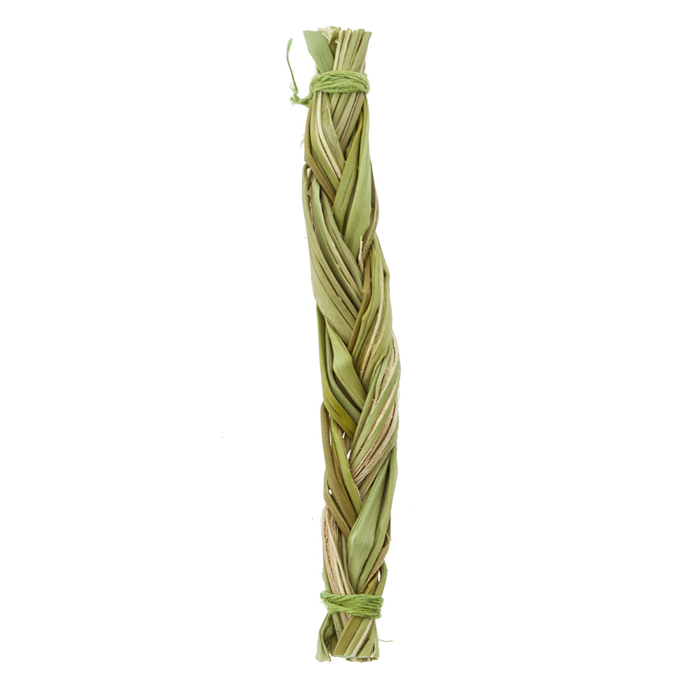 Sweetgrass 10 cm