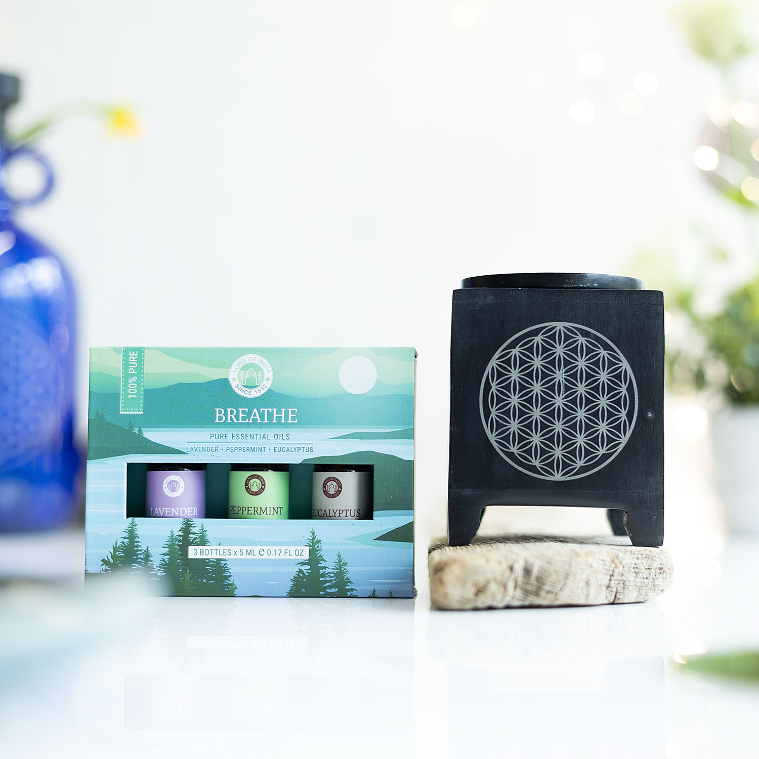 Aktionsset: Harmonie der Sinne