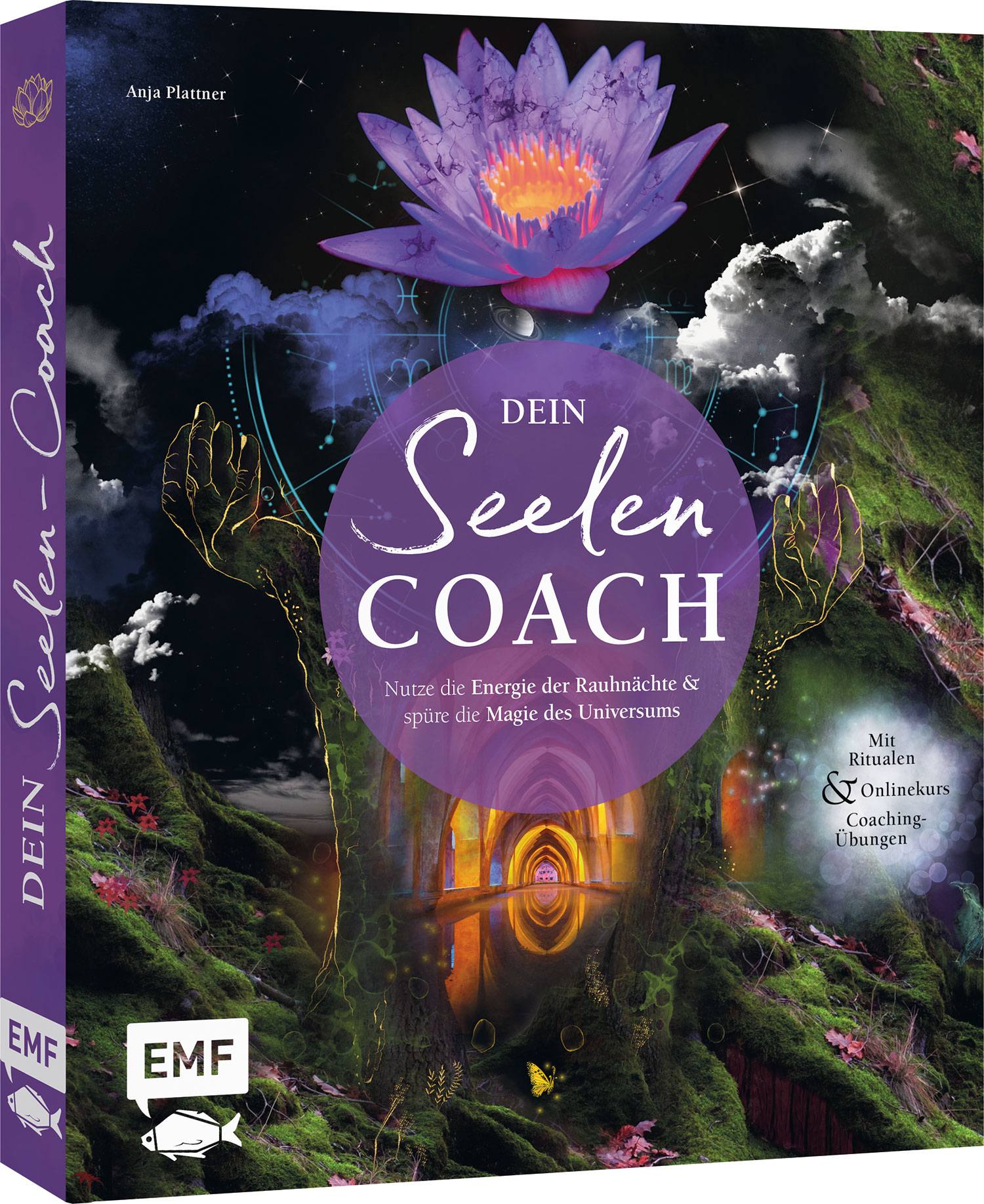 Dein Seelen-Coach  - Anja Plattner