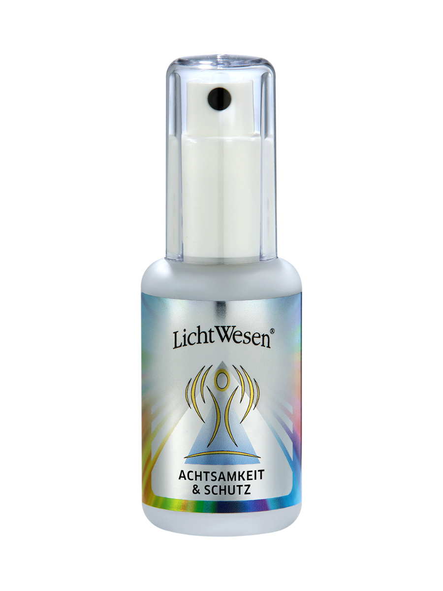 Achtsamkeit und Schutz von LichtWesen